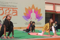 509434166_122284628840006685_2544433854742482699_n